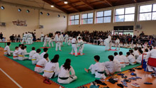 Più di 350 bambini hanno partecipato alla rassegna di judo a sostegno del progetto della Uisp Modena solidarietà in Brasile