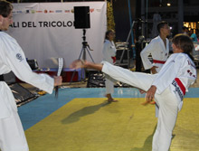 L'esibizione di taekwondo a Reggio Emilia