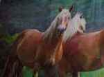 La Pet-Therapy e il cavallo - Seminario Operativo