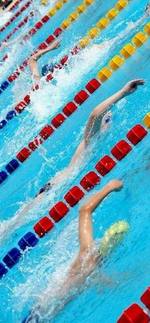 Domenica 29 Gennaio 2012 torna il «Saggio di Nuoto» in Piscina