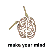 Make your mind, play Sport