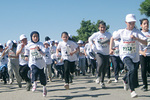 <a href="http://www.uisp.it/nazionale/index.php?contentId=4236">Uisp e Peace Games di nuovo in Libano</a>