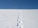 Sicurezza e incidenti in montagna