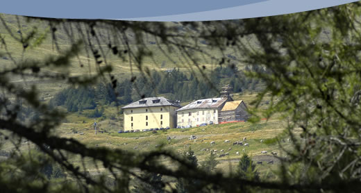 L'Hotel, posto in posizione dominante rispetto all'abitato di Passo Tonale, è immerso in un'incantevole paesaggio naturale, distese bianchissime d'inverno che lasciano poi spazio al verde dei prati fioriti in estate con la meravigliosa veduta dell'imponente e rocciosa Presanella.