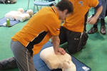 Defibrillatori: il punto in attesa dell'entrata in vigore della norma