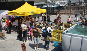 piscina