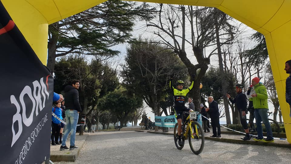 CC-tassini2020-a