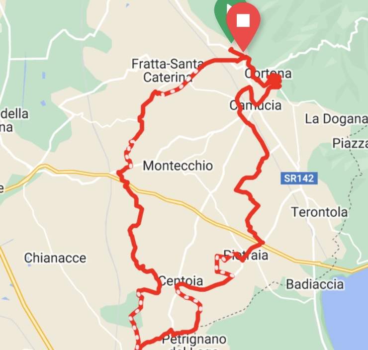 CORTONESE-classico
