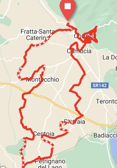 CORTONESE-cortonese