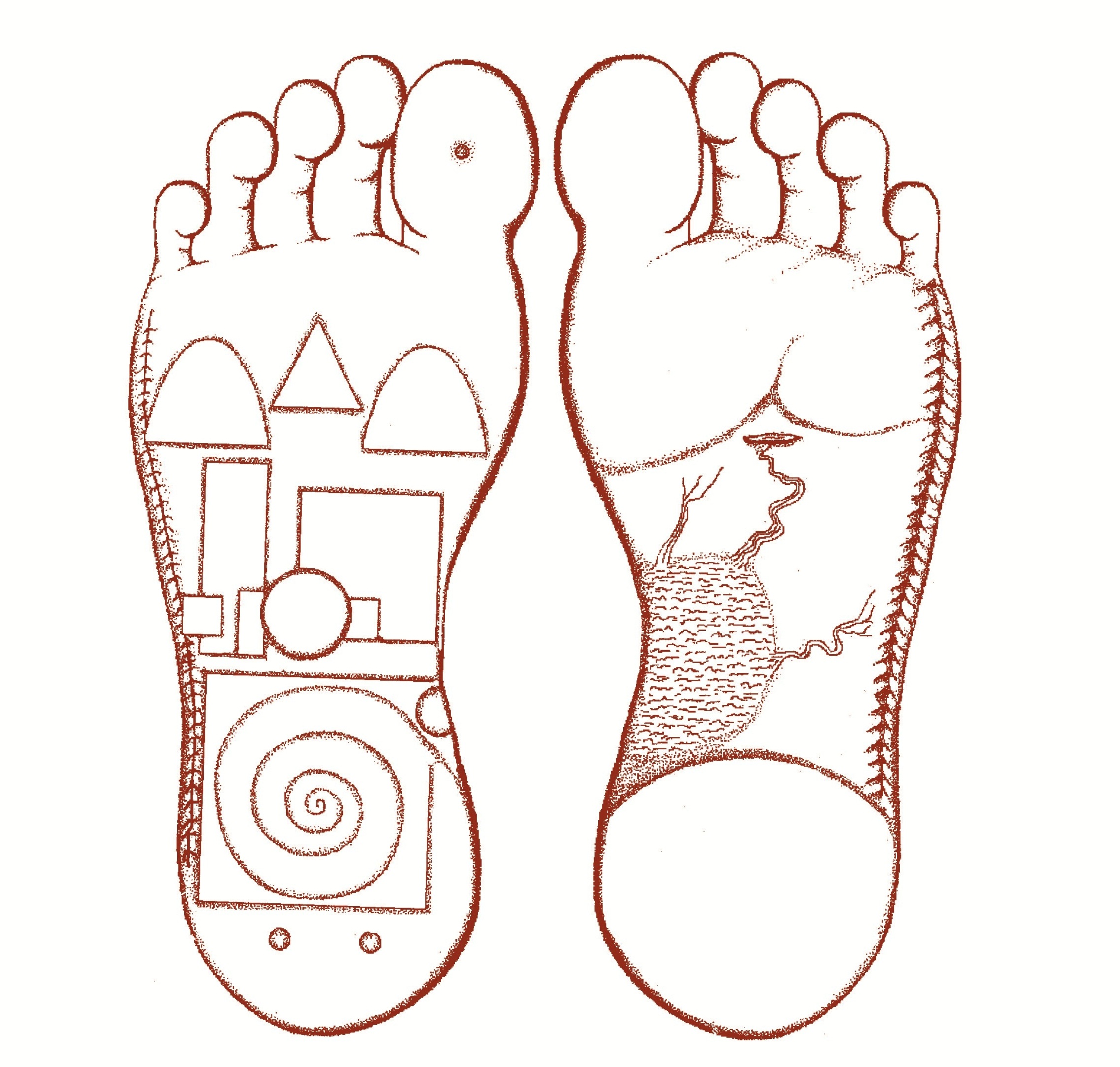 piedi