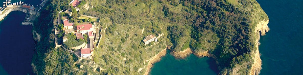Nuovo Protocollo