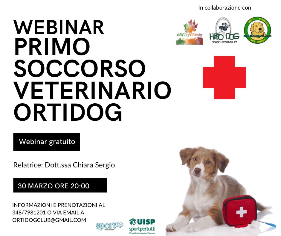 Il webinar con la dr.ssa Chiara Sergio sul primo soccorso veterinario