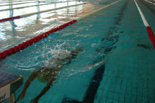 Una gara di nuoto Uisp