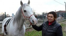 King nel centro equestre Raggio di sole