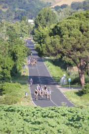 Sulle strade della Romagna in una gran fondo Uisp del 2014 - Foto di Fabrizio Pompei