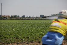 Il 25 maggio 2.935 cicloturisti hanno partecipato alla gran fondo Citt&agrave; di Lugo