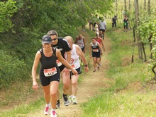 Foto dalla gallery del Dozza Wine Trail 2013