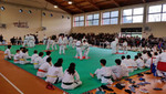 Judo tradizionale