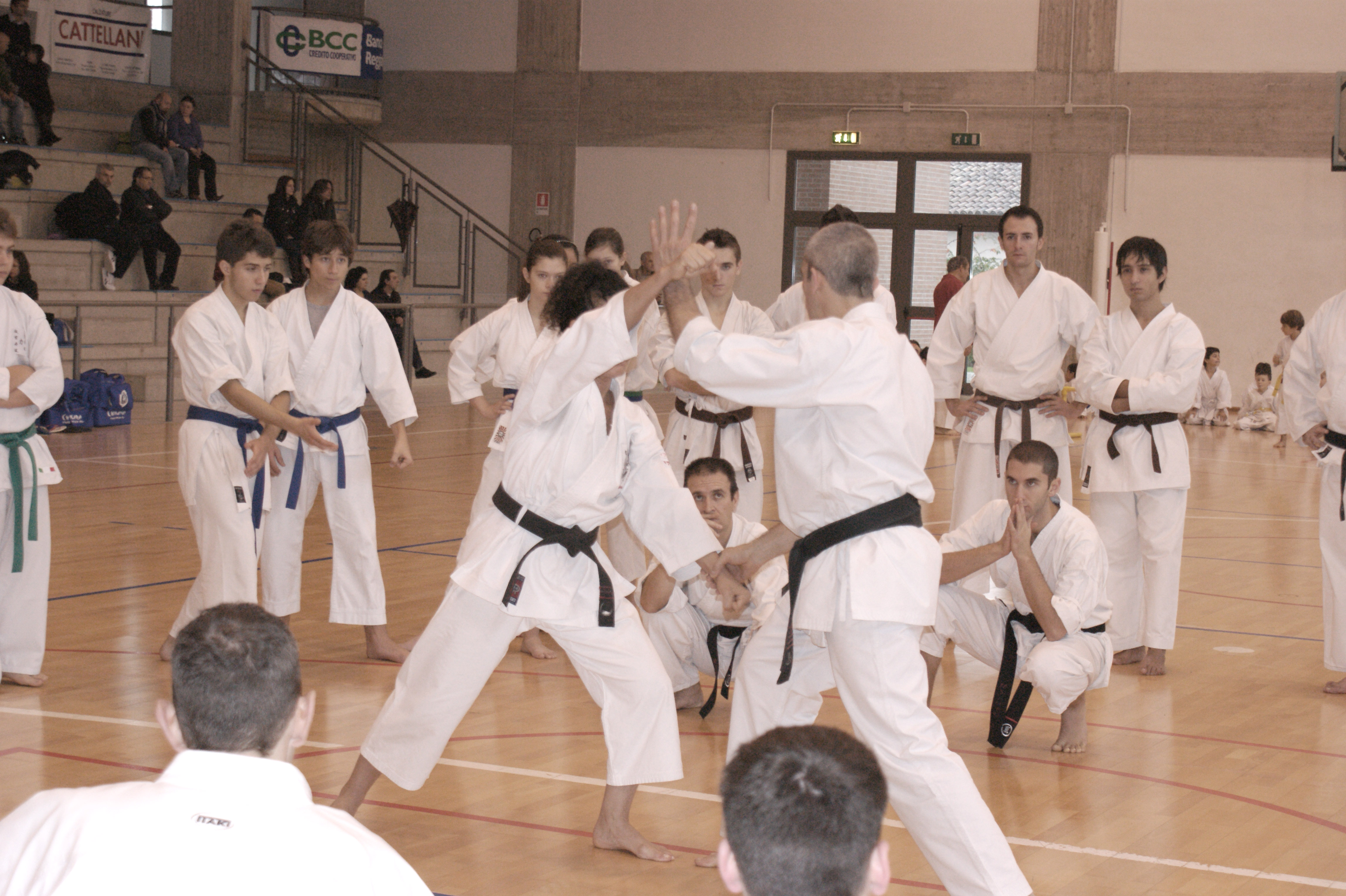 Campionati regionali di judo