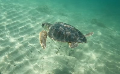 inostriservizi - MONDOMATERASSI SIRACUSA