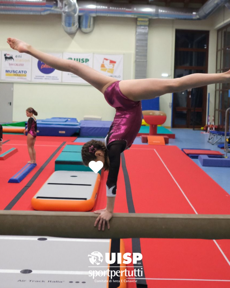 Ginnastica Artistica Ivrea Coesport