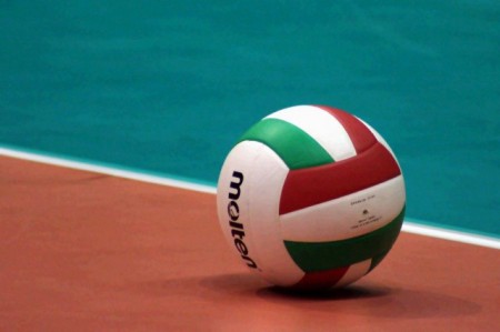 Pallavolo_logo