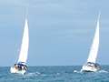 Mazara del Vallo 2009