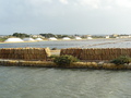 Mazara del Vallo 2009