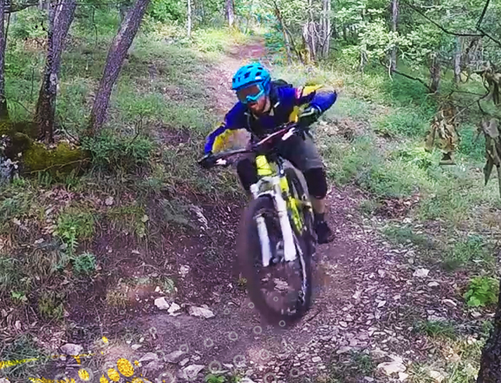 All Mountain/Enduro