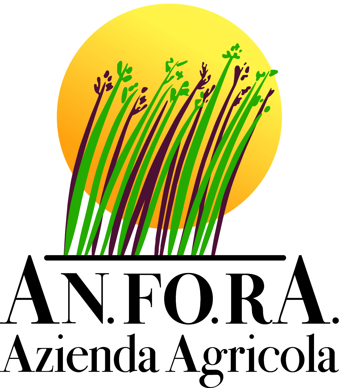 AN.FO.RA