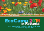 eco_camp_fattoria