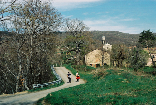 paesaggi in cammino