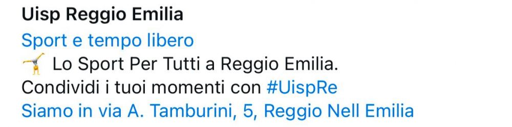 Bio Instagram