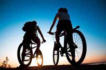 MTB