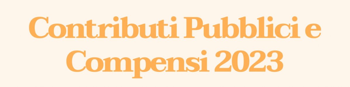 Contributi Pubblici e Compensi 2023
