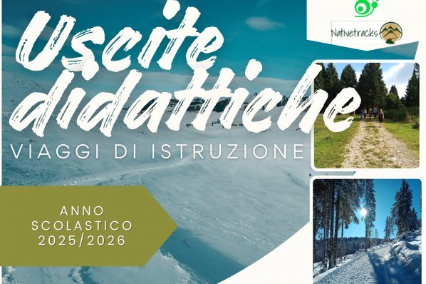 USCITE DIDATTICHE E VIAGGI DI ISTRUZIONE 2025/2026