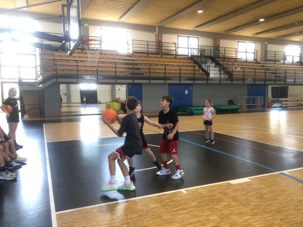 basket camp
